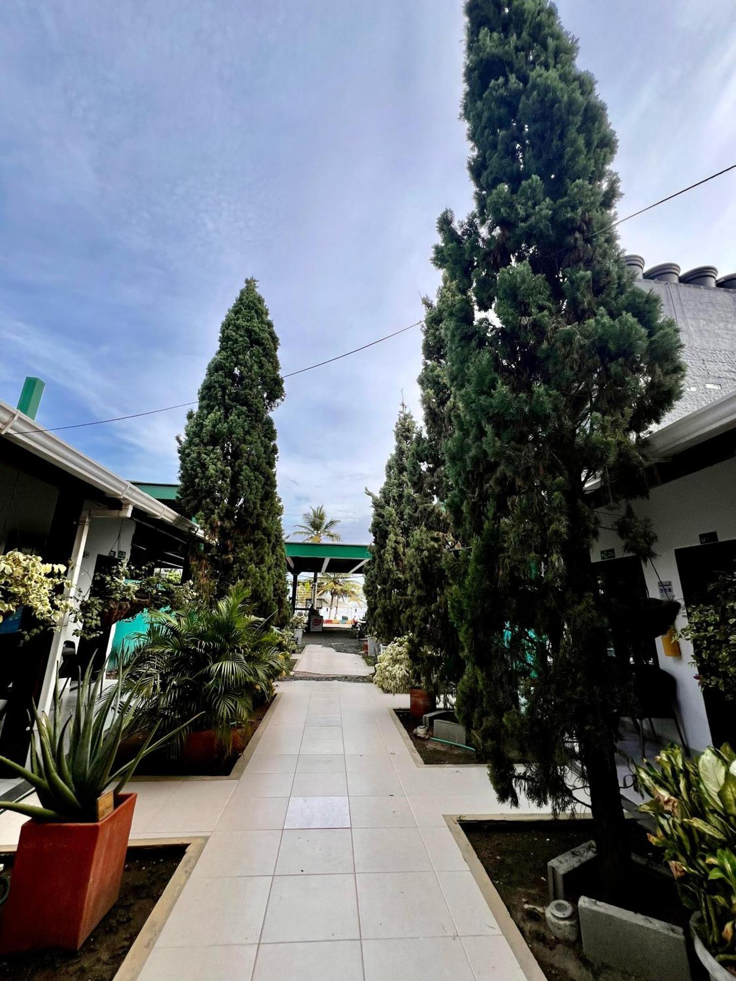 Necoclí Hotel Cocobana מראה חיצוני תמונה